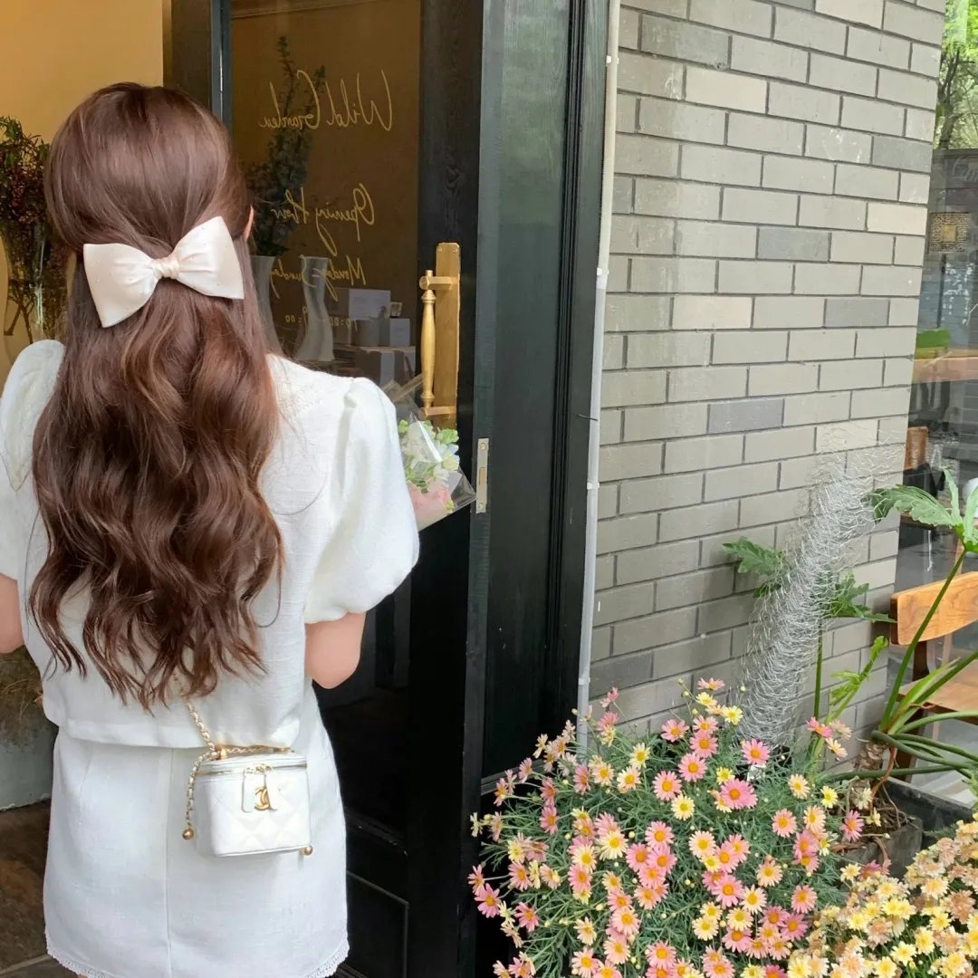 凤凰号